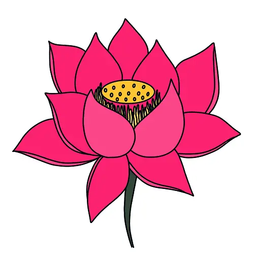 disegni di Fiori Loto