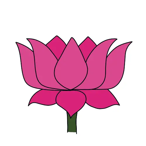 disegni di disegni di Fiori Loto da colorare passo 4