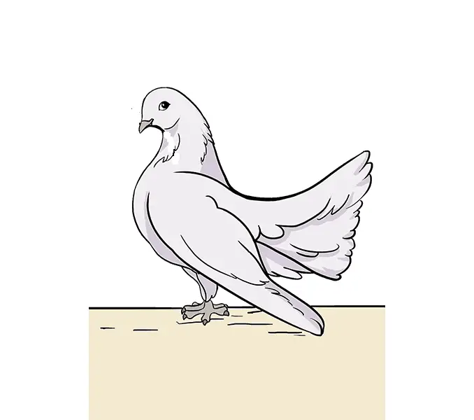 disegni di disegni di piccioni da colorare passo 11