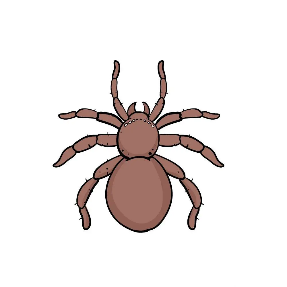 disegni di disegni di ragno da colorare passo 5