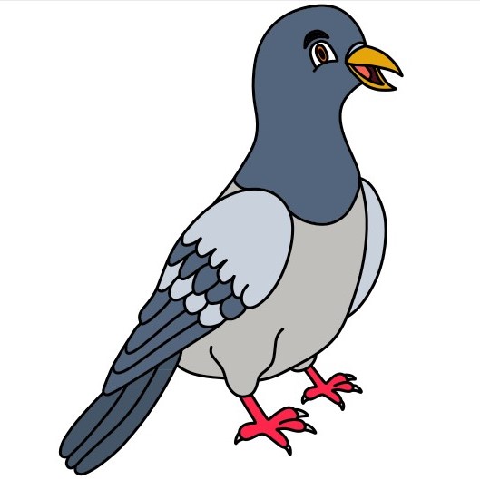 disegni di Dove 4 (11)