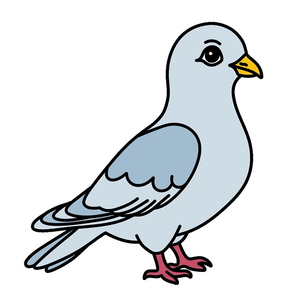 disegni di Dove 6 (8)