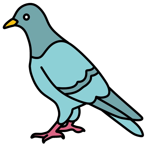 disegni di Dove 7 (8)