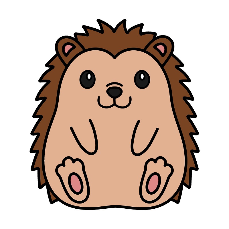 disegni di Hedgehog 4 (8)