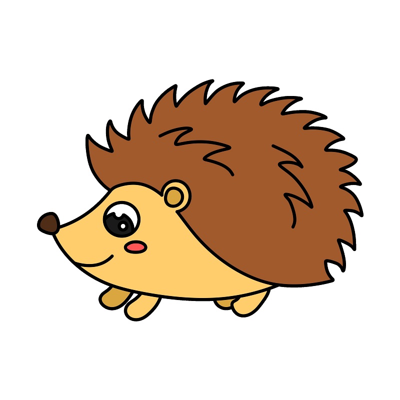 disegni di Hedgehog 5 (8)
