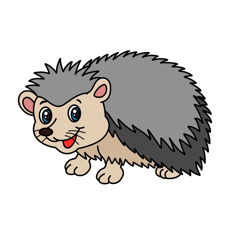 disegni di Hedgehog 6 (11)