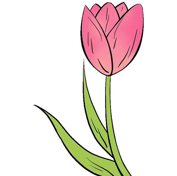 disegni di disegni-di-Tulipani-da-colorare-passo-4