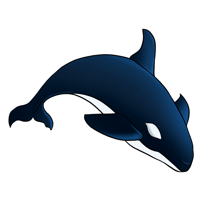 disegni di disegni-di-Balene-da-colorare-passo-8