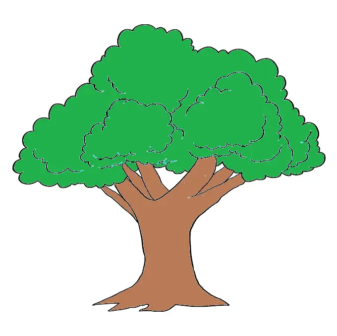 disegni di disegni-di-alberi-da-colorare-passo-5