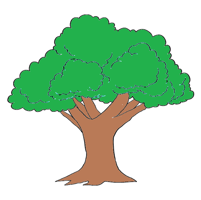 disegni di Alberi