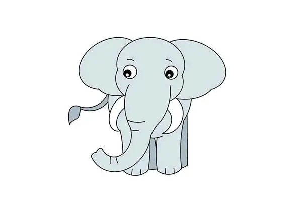 disegni di Elefanti