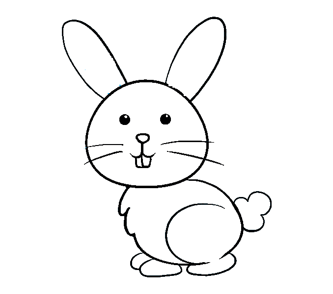 disegni di disegni-di-conigli-da-colorare-passo-7