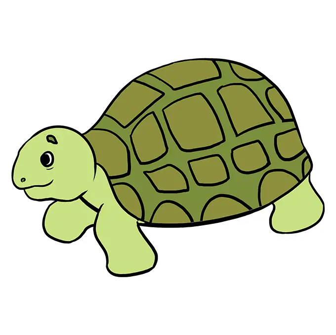 disegni di disegni-di-tartarughe-da-colorare-passo-7