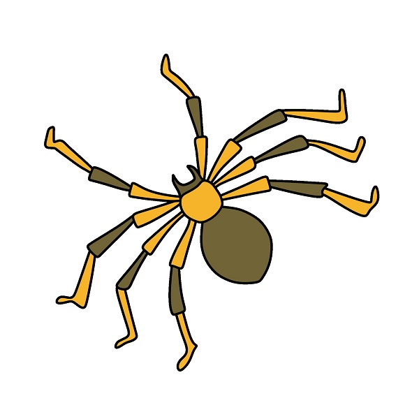 disegni di Spider 4 (5)