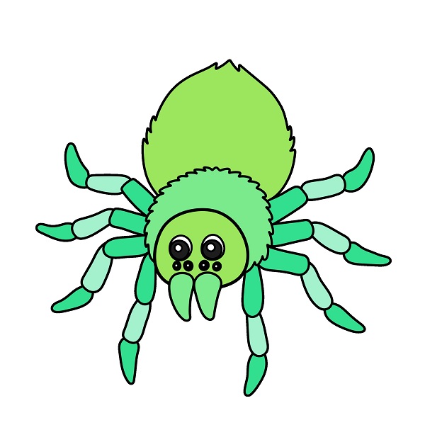 disegni di Spider 5 (9)