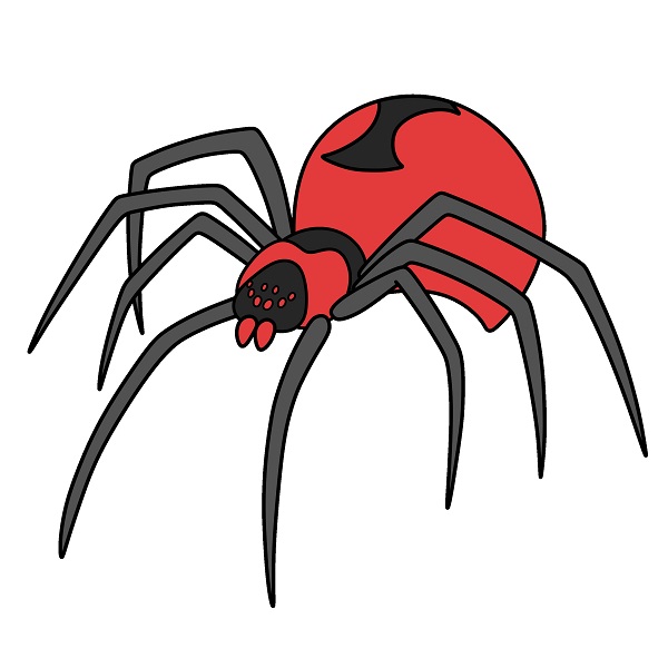 disegni di Spider 6 (8)