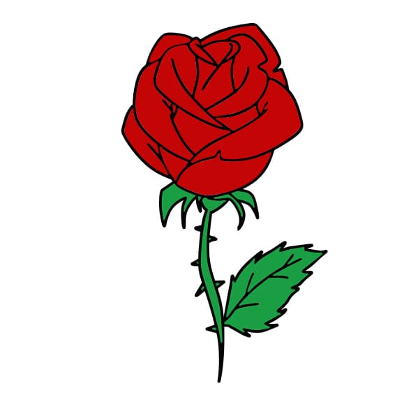 disegni di rosa-passo-10-2