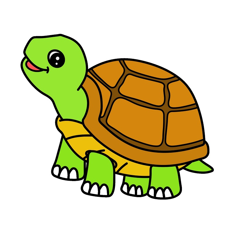 disegni di Turtle 5 (8)