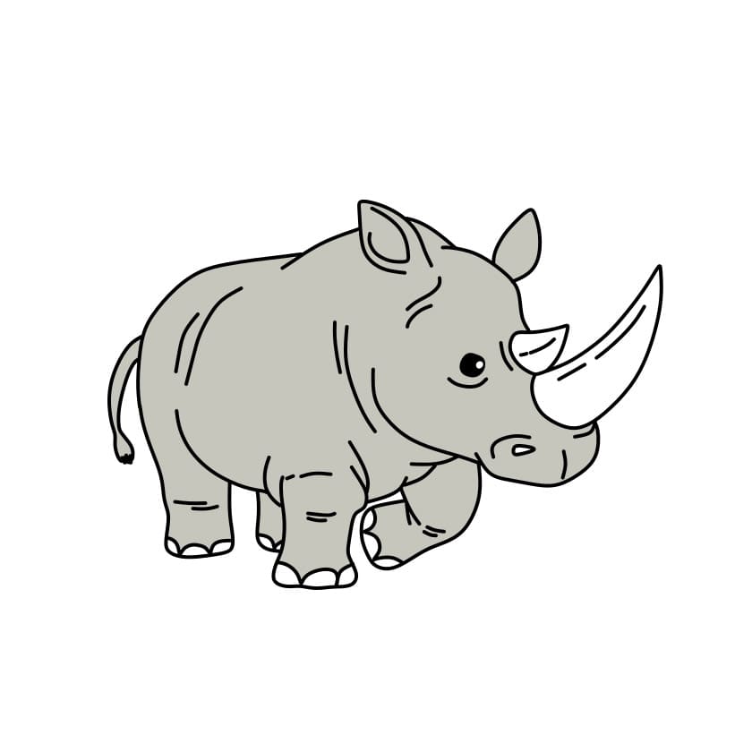 disegni di disegna-rinoceronte-passo13