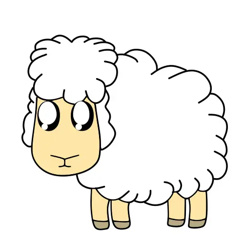 disegni di disegnare-pecore-passo8-4