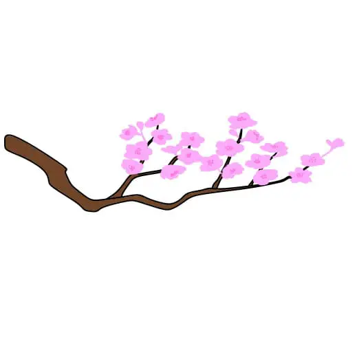 disegni di disegno-Cherry-Blossom-passaggio4-1