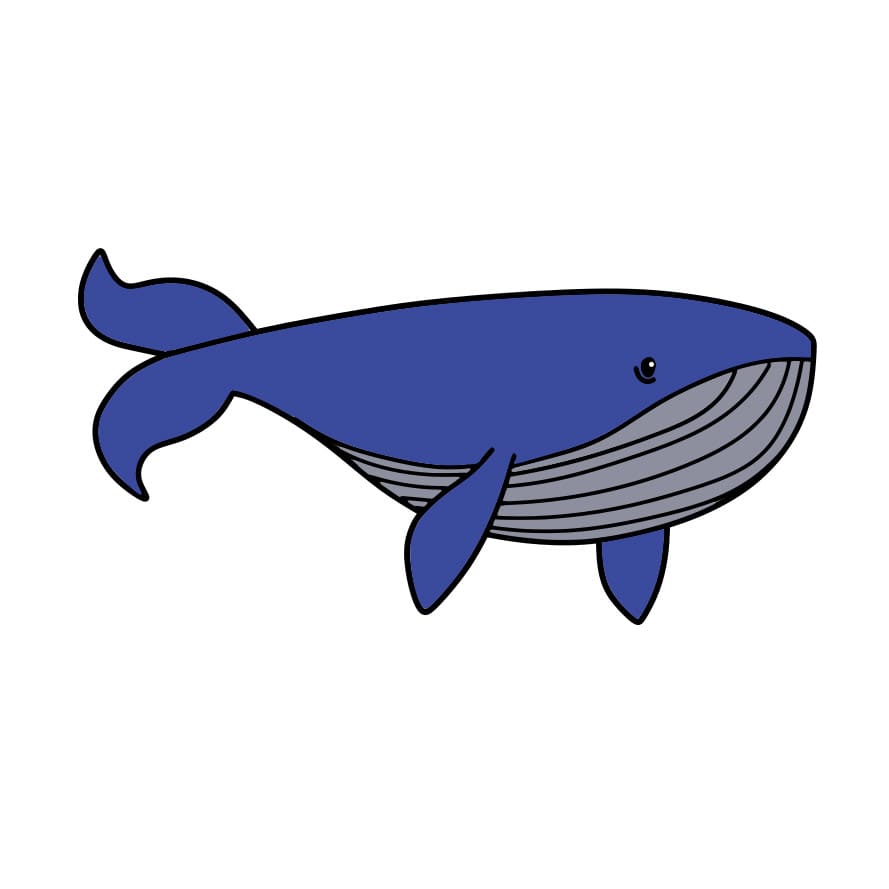 disegni di disegno-della-balena-passo6