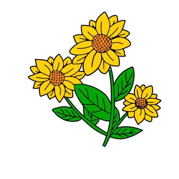 disegni di disegno-girasole-passo10-1