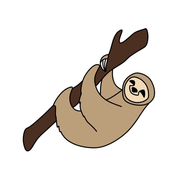 disegni di Bradipo-di-disegno-passo8-1