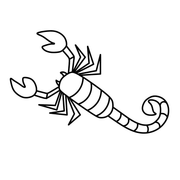 disegni di Disegnare-uno-scorpione-passo8-5
