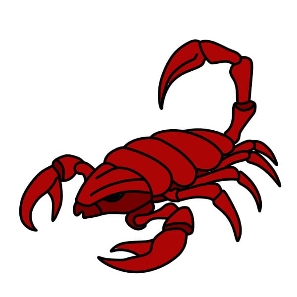 disegni di Disegnare-uno-scorpione-passo8