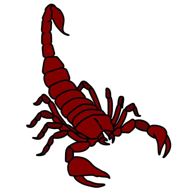 disegni di Scorpione