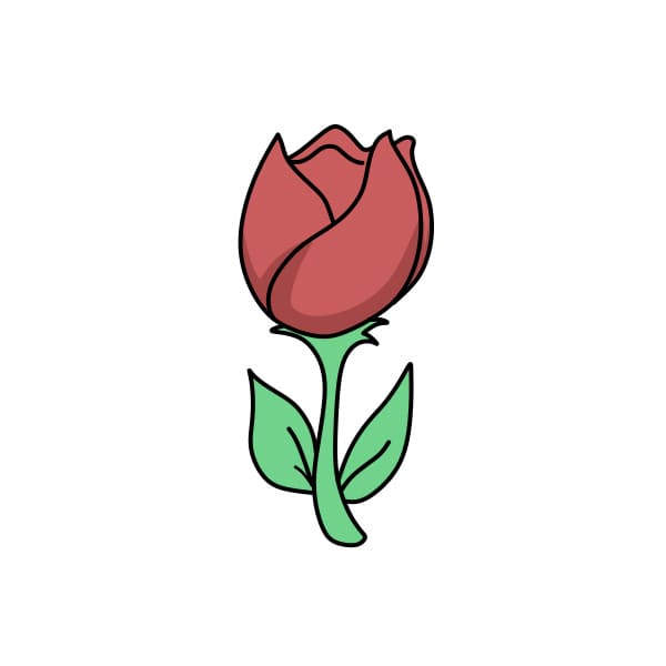 disegni di Disegnare-tulipani-passo6-1