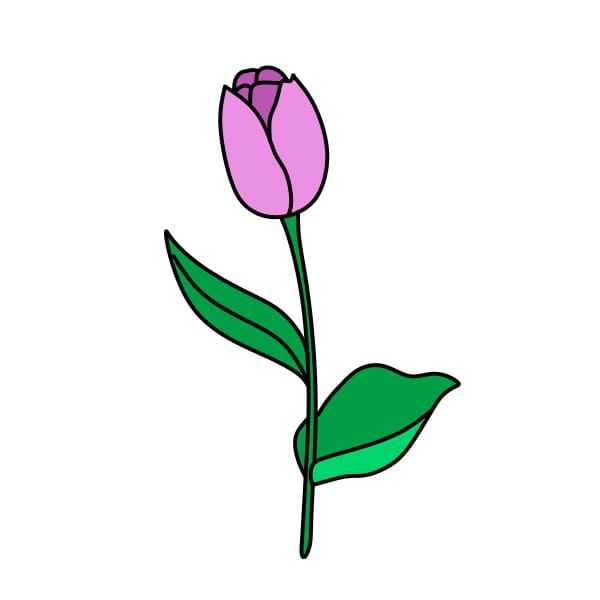 disegni di Disegnare-tulipani-passo6-5