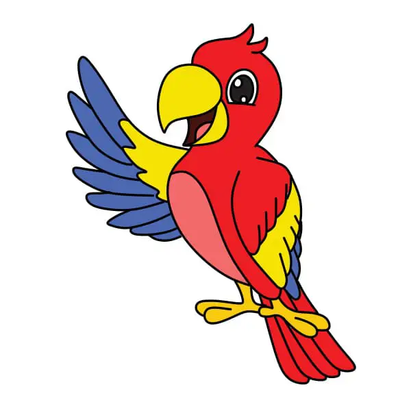 disegni di disegnare-un-pappagallo-passo10