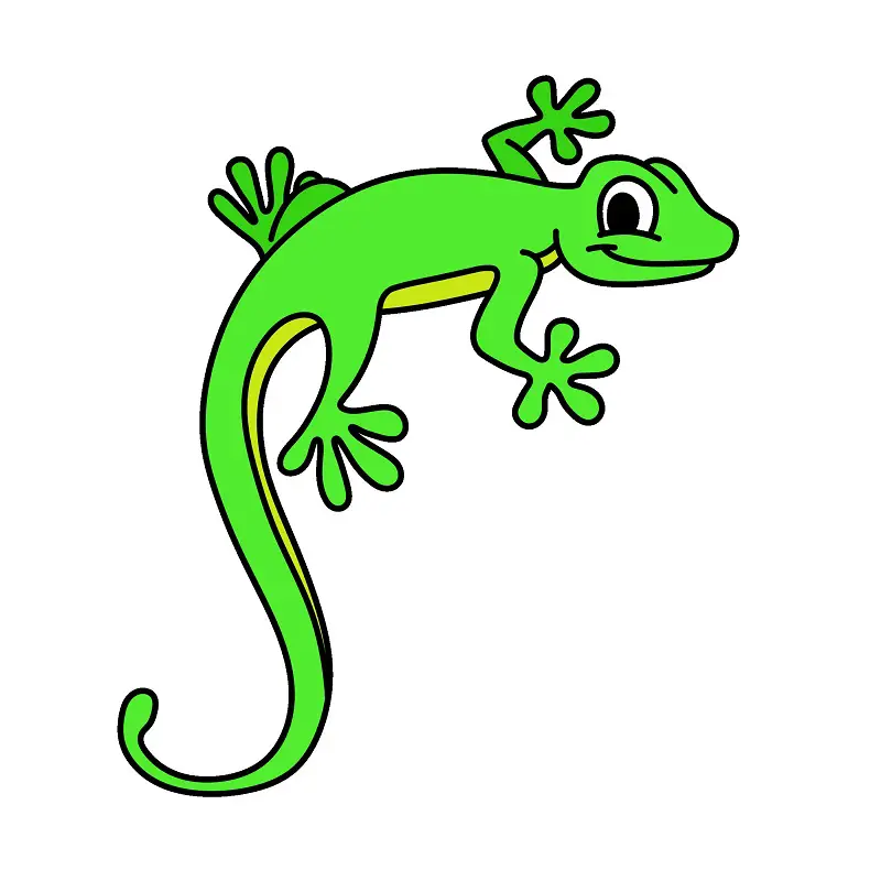 disegni di Lizard 2 (8)