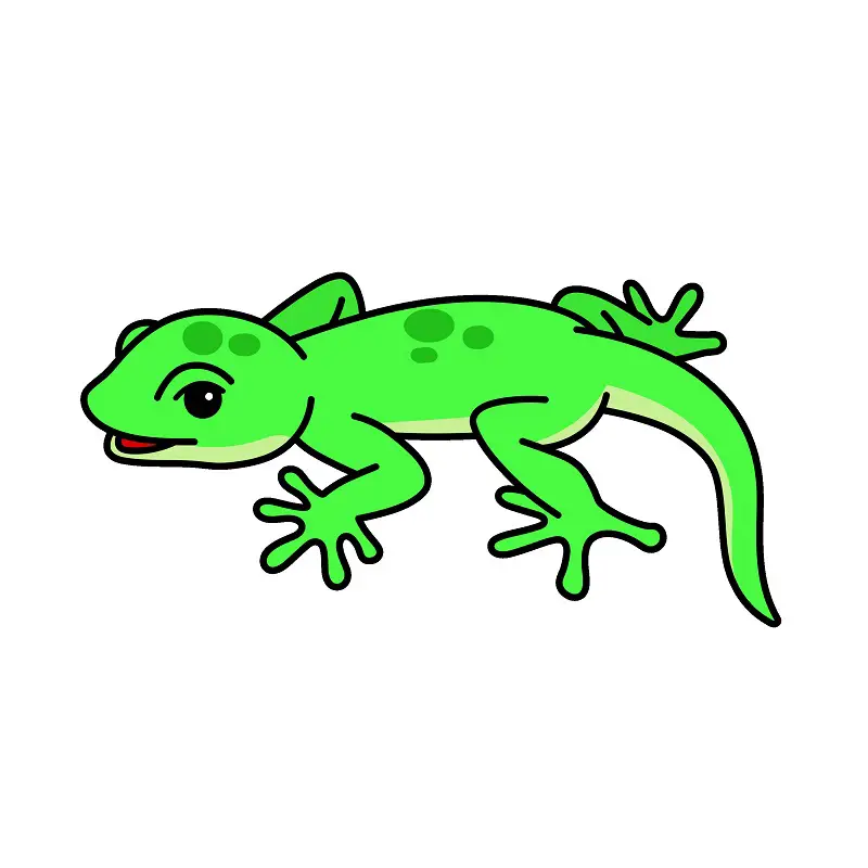 disegni di Lizard 5 (8)