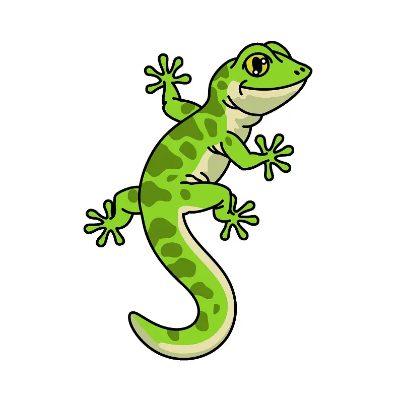 disegni di Lizard 6 (8)
