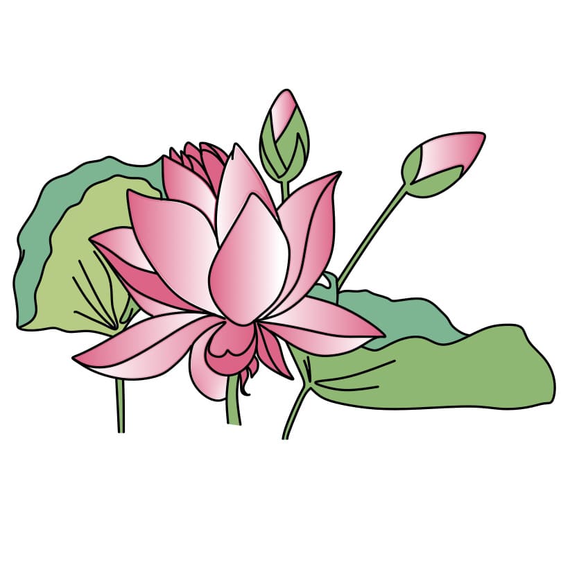 disegni di disegno-fiore-di-loto-passo8-1