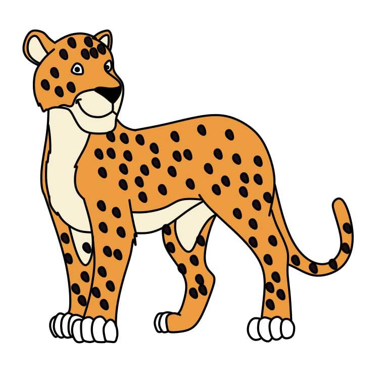 disegni di Come-disegnare-Jaguar-Step-11