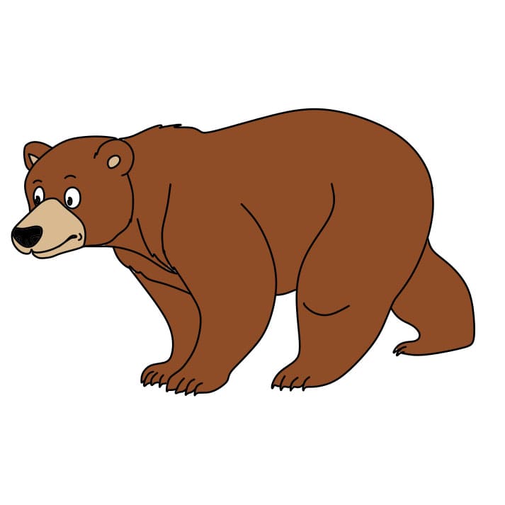 disegni di Come-disegnare-un-orso-passo8