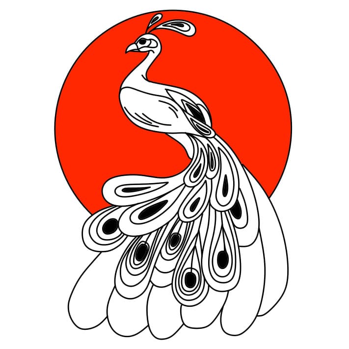 disegni di come-disegnare-un-pavone-passo11-4