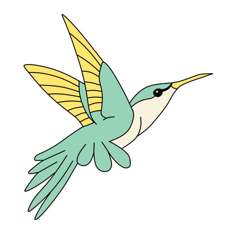 disegni di Colibrì