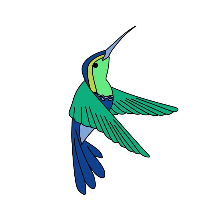 disegni di Come-disegnare-un-colibri-Passo-8-7