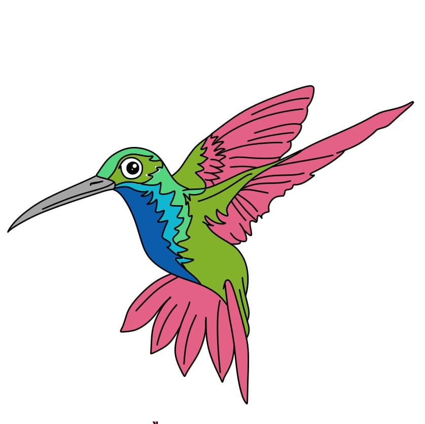 disegni di Come-disegnare-un-colibri-Passo-9
