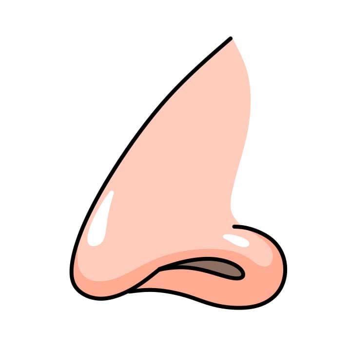 disegni di Come-disegnare-un-naso-Passo-4-5