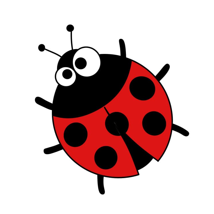 disegni di Come-disegnare-una-coccinella-Passaggio-6-2