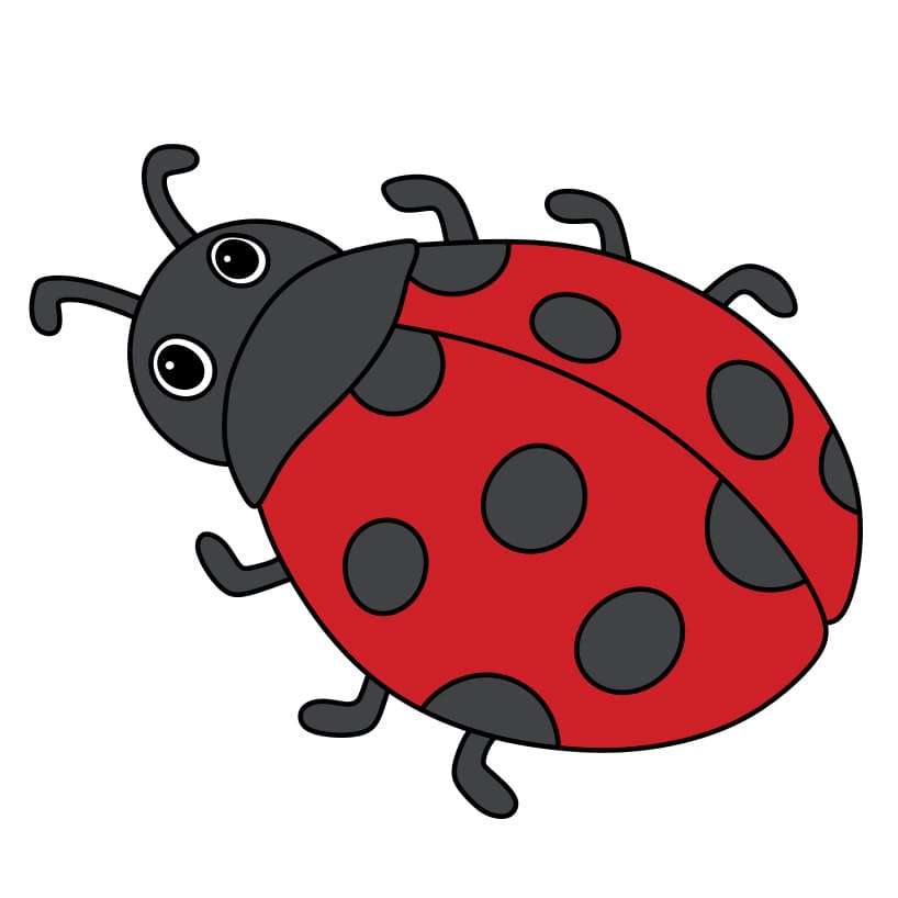 disegni di Come-disegnare-una-coccinella-Passaggio-7-2
