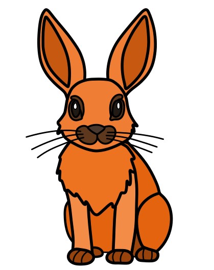 disegni di Hare-5-10