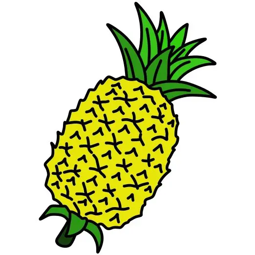 disegni di Pineapple-5-5
