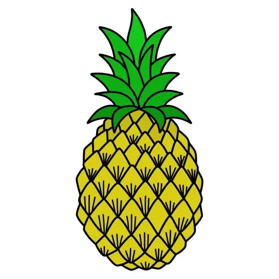 disegni di Pineapple-6-5